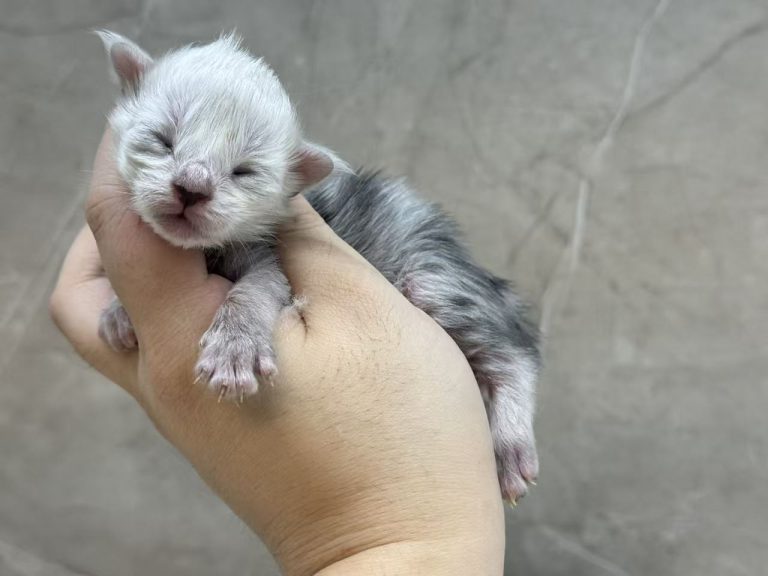 _20251023225706_67_1091