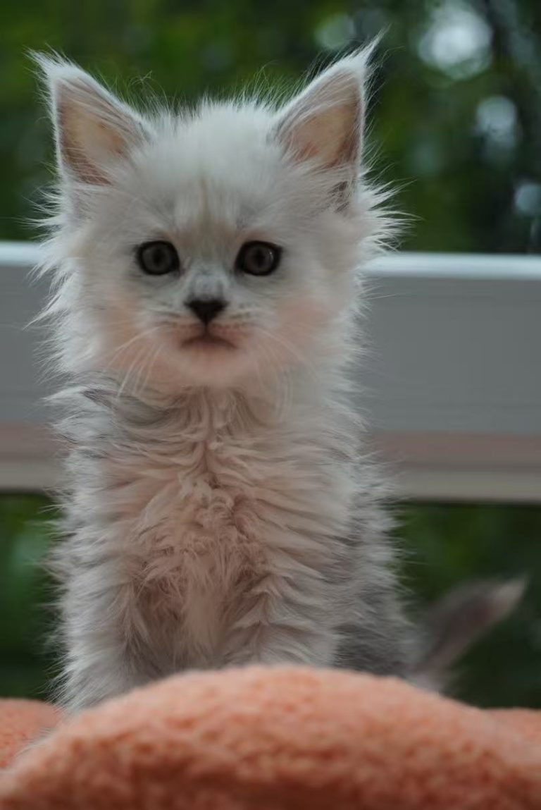 _20251023225714_72_1091