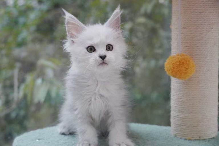 _20251023225715_73_1091