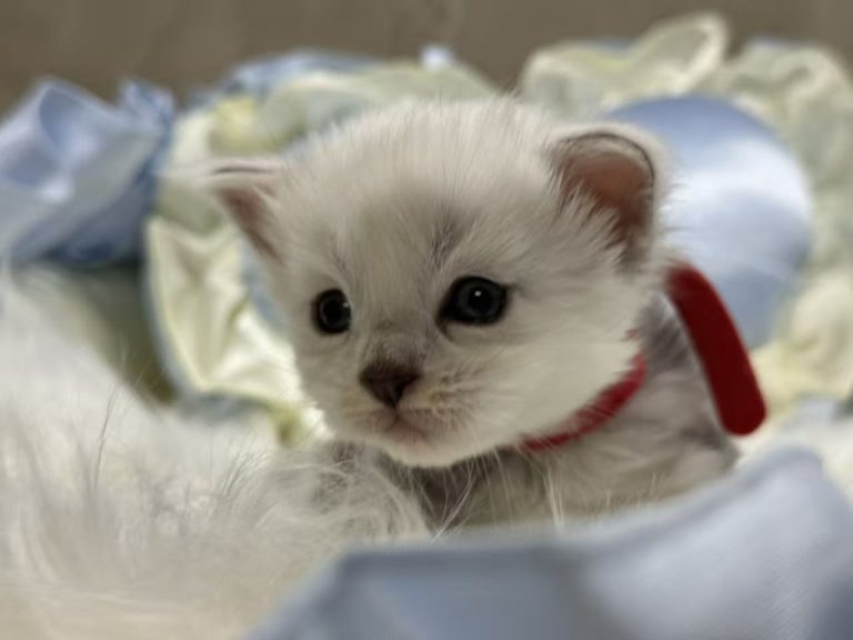 _20251023232455_80_1091