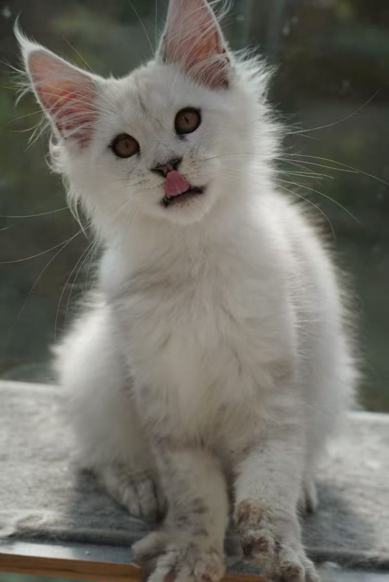 _20251023232842_86_1091